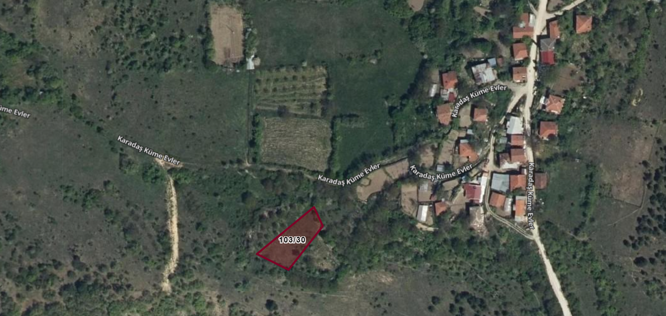 Fotoğraf